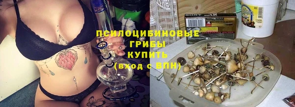 jwh Ессентукская