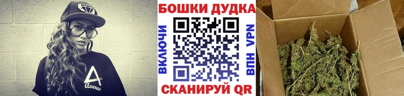 Бошки Шишки SATIVA & INDICA  купить наркотики сайты  Кириллов 